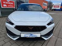 Gebraucht Cupra Leon 204 PS (150 kW) 2024 Weiß Limousine