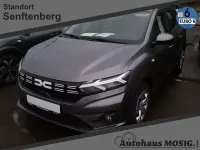Gebraucht Dacia Sandero Expression 91 PS (66 kW) 2025 Grau Limousine