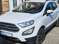 Gebraucht Ford Ecosport Cool & Connect 101 PS (74 kW) 2020 Weiß SUV