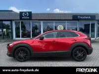 Gebraucht Mazda CX-30 Homura-Line 122 PS (89 kW) 2024 Soul red crystal m SUV