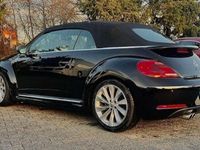 Gebraucht VW Beetle Cabriolet Design 140 PS (102 kW) 2014 Schwarz Cabrio