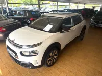 Gebraucht Citroën C4 Cactus Shine 131 PS (96 kW) 2019 Weiß Kleinwagen