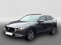 Gebraucht Mazda CX-30 Selection 179 PS (131 kW) 2020 Grau SUV
