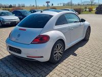 Gebraucht VW Beetle Allstar 105 PS (77 kW) 2017 Silber Kleinwagen