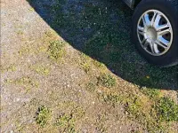 Usado VW T4 102 HP (75 kW) 1997 Verde Van
