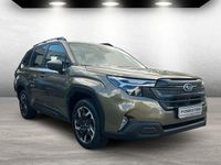 Neu Subaru Forester Active 136 PS (100 kW) 2026 Grün SUV