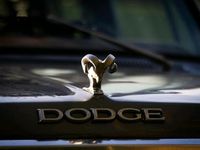 Gebraucht Dodge Ram 150 PS (110 kW) 1986 Grau Pickup