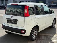 Gebraucht Fiat Panda Lounge 69 PS (50 kW) 2017 Weiß Kleinwagen