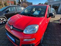 Gebraucht Fiat Panda Easy 69 PS (50 kW) 2017 Amore rot Kleinwagen