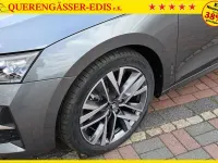 Neu Skoda Octavia Dynamic 150 PS (110 kW) 2026 Grau Limousine