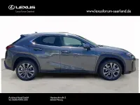 Neu Lexus UX 300h Sport Design Packet 199 PS (146 kW) 2026 Grau SUV