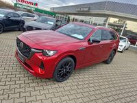 Neu Mazda CX-80 Homura-Line 254 PS (186 kW) 2026 Rot SUV