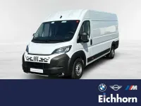 Gebraucht Fiat Ducato S 179 PS (131 kW) 2024 Weiß Van