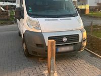 Gebraucht Fiat Ducato 101 PS (74 kW) 2010 Weiß Van