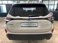 Neu Subaru Forester Active 136 PS (100 kW) 2026 Gold SUV