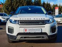 Gebraucht Land Rover Range Rover evoque Pure 150 PS (110 kW) 2016 Weiß SUV
