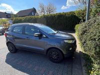 Gebraucht Ford Ecosport Titanium 112 PS (82 kW) 2017 Grau SUV