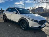 gebraucht Mazda CX-30 CX-30SKYACTIV-G 2.0 M-Hybrid SELECTION