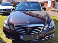 Gebraucht Mercedes E250 Elegance 204 PS (150 kW) 2013 Braun Kombi