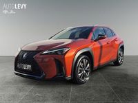 Gebraucht Lexus UX 250h Sport Line 184 PS (135 kW) 2024 Orange SUV