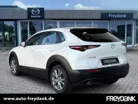 Gebraucht Mazda CX-30 Exclusive-Line 122 PS (89 kW) 2024 Snowflake white pearl SUV