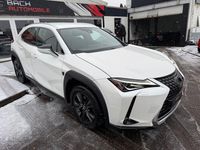 Gebraucht Lexus UX 250h 152 PS (111 kW) 2020 SUV