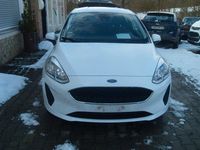 Gebraucht Ford Fiesta Trend 75 PS (55 kW) 2020 Weiß Kleinwagen