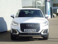 Gebraucht Audi Q2 Sport 116 PS (85 kW) 2017 Ibisweiß SUV