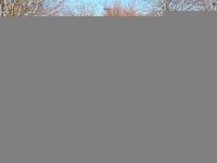 Gebraucht Ford Kuga 150 PS (110 kW) 2019 Schwarz SUV