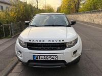 Gebraucht Land Rover Range Rover evoque 190 PS (139 kW) 2013 Weiß SUV