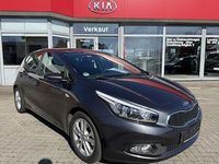 Gebraucht Kia Ceed Vision 100 PS (73 kW) 2015 Grau Kleinwagen