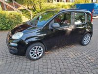Gebraucht Fiat Panda 69 PS (50 kW) 2013 Schwarz Kleinwagen