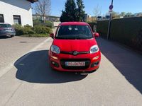 Gebraucht Fiat Panda Lounge 86 PS (63 kW) 2019 Rot Kleinwagen