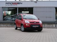 Gebraucht Fiat Panda 69 PS (50 kW) 2024 Rosso alfa, uni Kleinwagen