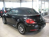 gebraucht VW Beetle Cabrio 1.4 TSI Design LEDER,NAVI,KLIMA