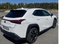 Gebraucht Lexus UX 250h 152 PS (111 kW) 2021 Weiß SUV