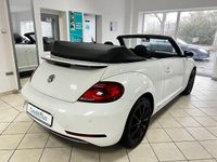 Gebraucht VW Beetle Cabriolet Sound 105 PS (77 kW) 2017 Weiß Cabrio