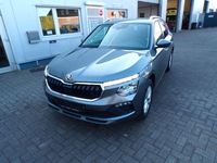 Gebraucht Skoda Kamiq Selection 116 PS (85 kW) 2025 Grau SUV