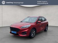 Gebraucht Ford Kuga ST-Line 151 PS (111 kW) 2024 Rot SUV