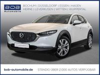 Gebraucht Mazda CX-30 Selection 150 PS (110 kW) 2020 SUV
