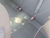 Gebraucht Opel Astra 75 PS (55 kW) 2009 Van