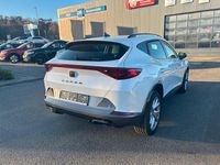 Gebraucht Cupra Formentor 190 PS (139 kW) 2023 Weiß SUV