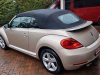 Gebraucht VW Beetle Cabriolet 170 PS (125 kW) 2015 Beige Cabrio