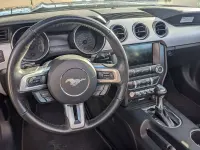 Gebraucht Ford Mustang GT 421 PS (309 kW) 2016 Grau Cabrio