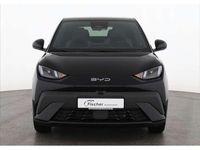 Neu BYD Dolphin Comfort 114 kW (156 PS) 2025 Polar night black Kleinwagen