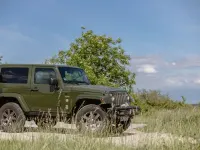 Gebraucht Jeep Wrangler 200 PS (147 kW) 2016 Grün SUV