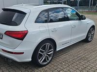 Gebraucht Audi SQ5 Ambiente 313 PS (230 kW) 2015 Weiß SUV