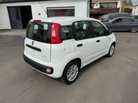 gebraucht Fiat Panda Hybrid Klima