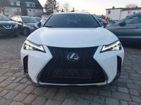 Gebraucht Lexus UX 250h Sport Line 184 PS (135 kW) 2021 Weiß SUV