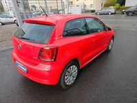 gebraucht VW Polo V Team